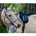 orangedayglooverlay REFLECTIVE English Convert-A-Bridle 