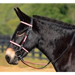 hot pinkdayglooverlay REFLECTIVE English Convert-A-Bridle 