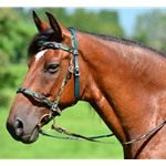 ENGLISH TRAIL BRIDLE with CAMOUFLAGE Biothane