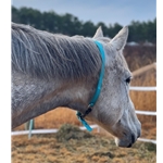 Aqua Beta Biothane Turnout Neck Collar for Horses