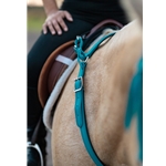 Aqua WESTERN BREAST COLLAR made from BETA BIOTHANE