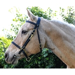 Black  Bridle made from Beta Biothane