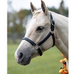 Buy A Black Beta Biothane Halter at Two Horse Tack