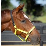 READY MADE - BLACK HALTER Made from Beta Biothane