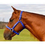 Buy A Roybal Blue Beta Biothane Halter at Two Horse Tack
