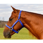 Buy A Royal Blue Beta Biothane Halter at Two Horse Tack