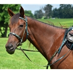 gree CAMOUFLAGE English Convert-A-Bridle 