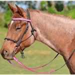 hotpink REFLECTIVE Quick Change Halter Bridle with Snap on Browband