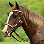 orange REFLECTIVE Quick Change Halter Bridle with Snap on Browband