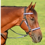 purple REFLECTIVE Quick Change Halter Bridle with Snap on Browband