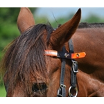 orange REFLECTIVE Quick Change Halter Bridle with Snap on Browband