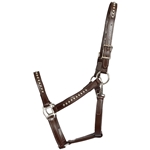 STABLE HALTER & LEAD made from LEATHER