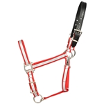 BETA BIOTHANE Safety Halter with Breakaway Leather Crown