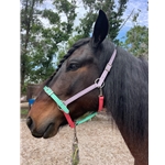 Buckle Nose Halter & Lead Beta Biothane Solid Colored