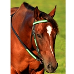 limegreendayglooverlay REFLECTIVE Western Bridle with Full Browband