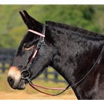 reddayglooverlay REFLECTIVE Western Bridle with Full Browband