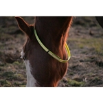 Buy Turnout Neck Collar with Leather Breakaway for Horses - Two Horse Tack