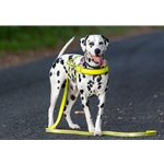 REFLECTIVE Beta Biothane Dog Harness