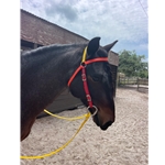 Rainbow AUSTRALIAN BARCOO OUTRIDER AUSSIE BRIDLE made from BETA BIOTHANE