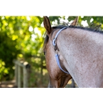 Periwinkle Blue Beta Biothane Turnout Neck Collar for Horses