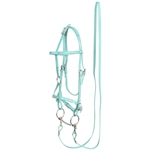 Dusty Turquoise Beta Biothane Bridle - You Choose The Size/Style