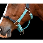 Buy An Dusty Turquoise Beta Biothane Halter at Two Horse Tack
