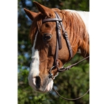 Dark Brown Beta Biothane Bridle - You Choose The Size/Style