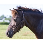 Buy An Dark Brown Beta Biothane Halter at Two Horse Tack