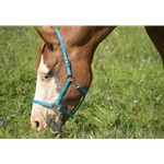 Buy An Light/Sky Blue Beta Biothane Halter at Two Horse Tack