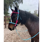 MEDIEVAL BAROQUE WAR or PARADE BRIDLE with reins Beta Biothane