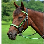 limegreendayglooverlay REFLECTIVE Halter Bridle with Bit Hangers