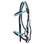 hot pinkdayglooverlay  REFLECTIVE Halter Bridle with Bit Hangers