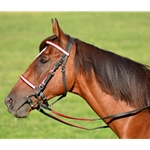 reddayglooverlay REFLECTIVE Halter Bridle with Bit Hangers