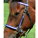 bluedayglooverlay REFLECTIVE Halter Bridle with Bit Hangers