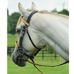 yellowdayglooverlay REFLECTIVE Halter Bridle with Bit Hangers