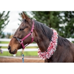Wine/Maroon Beta Biothane Halter - Any Size, Any Style