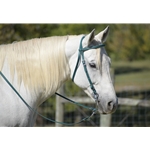 Hunter/Dark Green Beta Biothane Bridle - You Choose The Size/Style