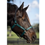 Hunter/Dark Green Beta Biothane Halter - Any Size, Any Style