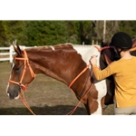 Hunters Orange Beta Biothane Reins - Any Style, Any Length
