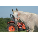 Hunters Orange Beta Biothane Halter - Any Size, Any Style