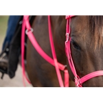 Hot/Neon Pink Beta Biothane Reins - Any Style, Any Length