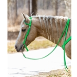 Lime/Neon Green Beta Biothane Reins - Any Style, Any Length