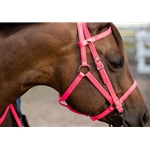 Hot/Neon Pink Beta Biothane Bridle - You Choose The Size/Style