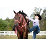 Hot/Neon Pink Beta Biothane Breast Collar - You Choose the Size/Style