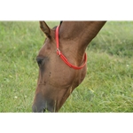 Beta Biothane Horse Neck Collar - Any Size, Any Style