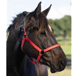 Beta Biothane Halter - Any Size, Any Style