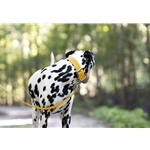 Sunflower Yellow Beta Biothane Dog Collar - Any Size