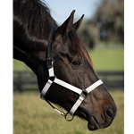 White Beta Biothane Halter - Any Size, Any Style