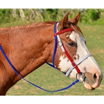 Tricolor WESTERN BRIDLE made from BETA BIOTHANE (3 Colors Mix N Match)