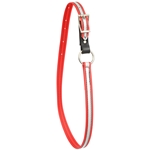 Reflective Beta Biothane Horse Neck Collar - Any Size, Any Style